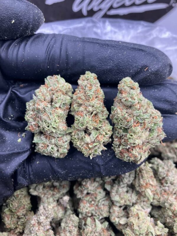 Apple Jacks strain