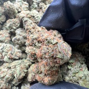 Peach Crescendo strain