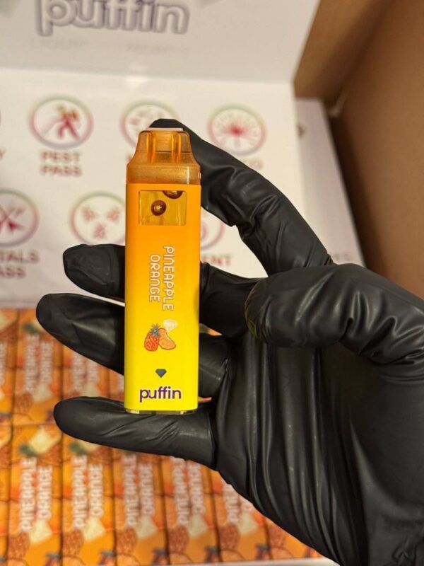 Puffin 3g Disposable vape