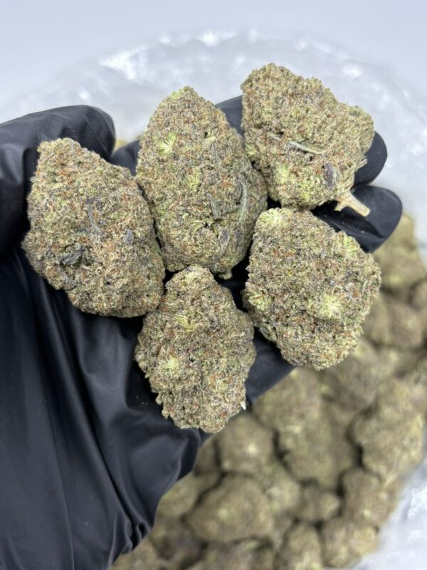 White Truffle strain