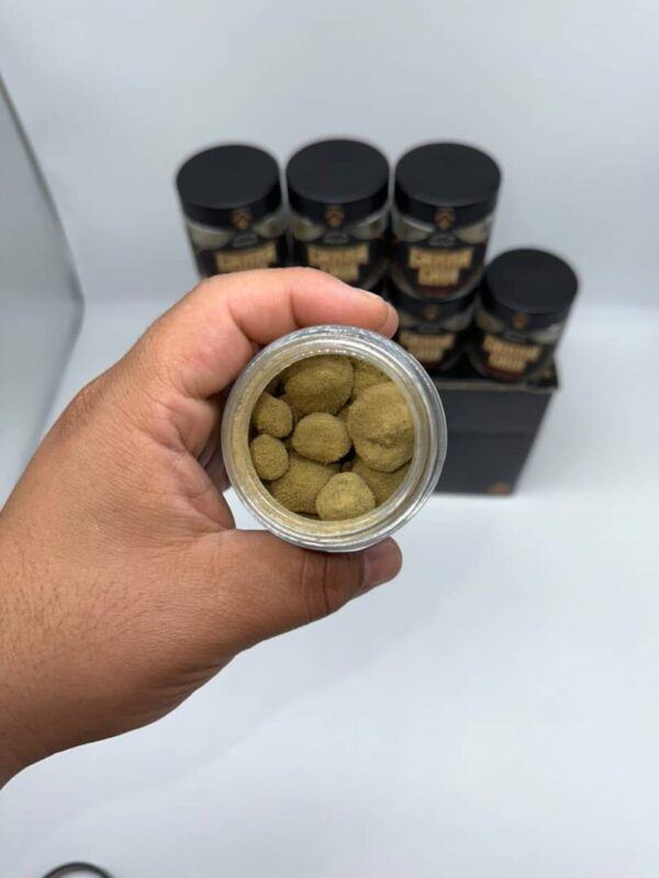 Canna Cavi Moon Rocks